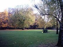 CAMBIO CLIMATICO DESDE LA GEOGRAFIA Y EL DCHO.